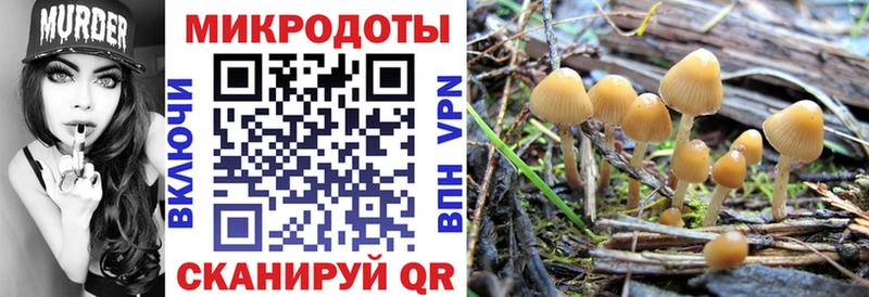 сколько стоит  Эртиль  Псилоцибиновые грибы мицелий 